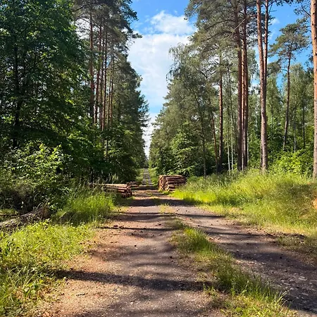 By The - I Sauna Nad Jeziorem Zaleze (Pyrzyce)
